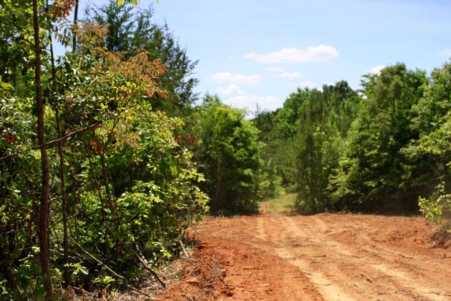 Hickory Hill Ranch photo 4