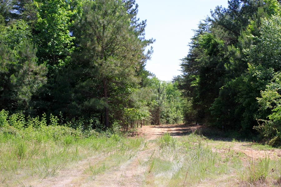 Hickory Hill Ranch photo 10