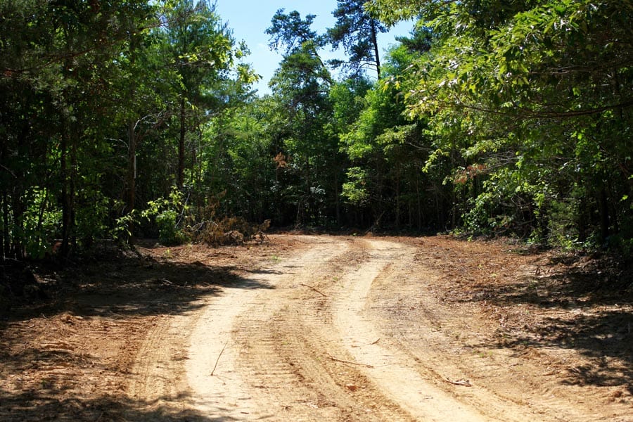 Hickory Hill Ranch photo 15