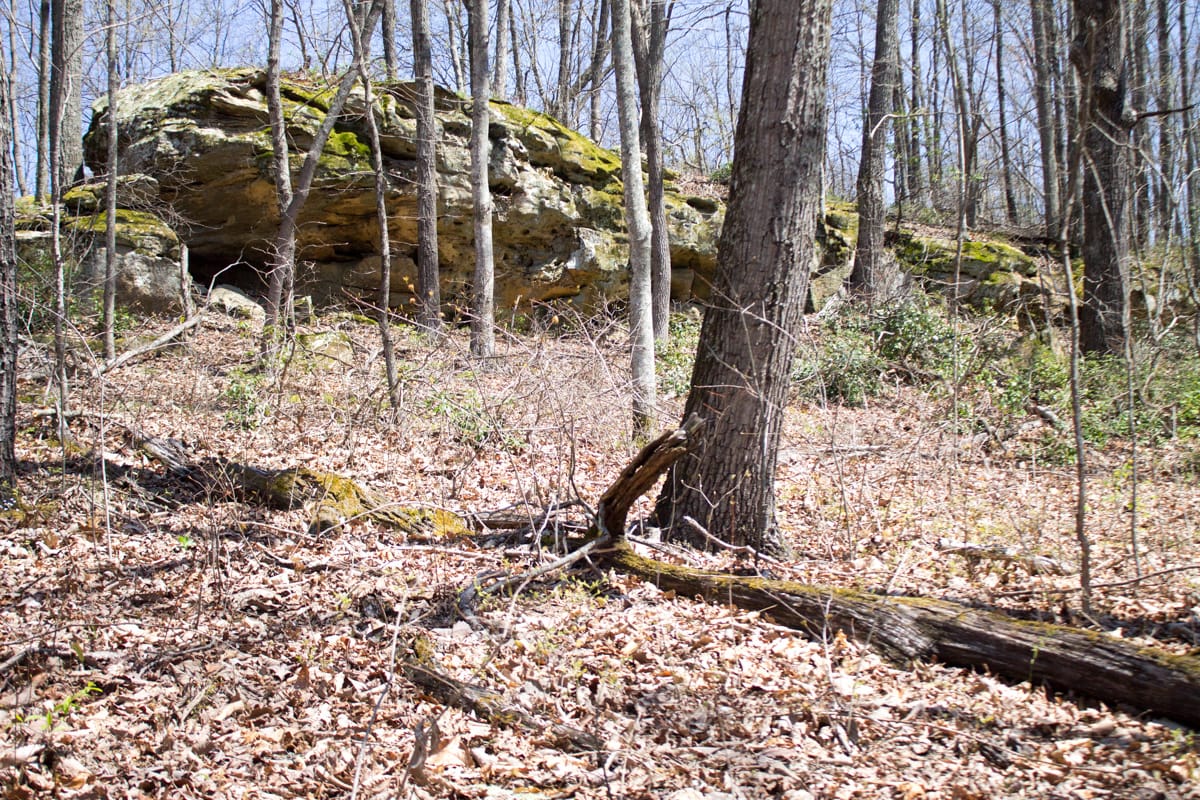 Chestnut Oak Ridge photo 11