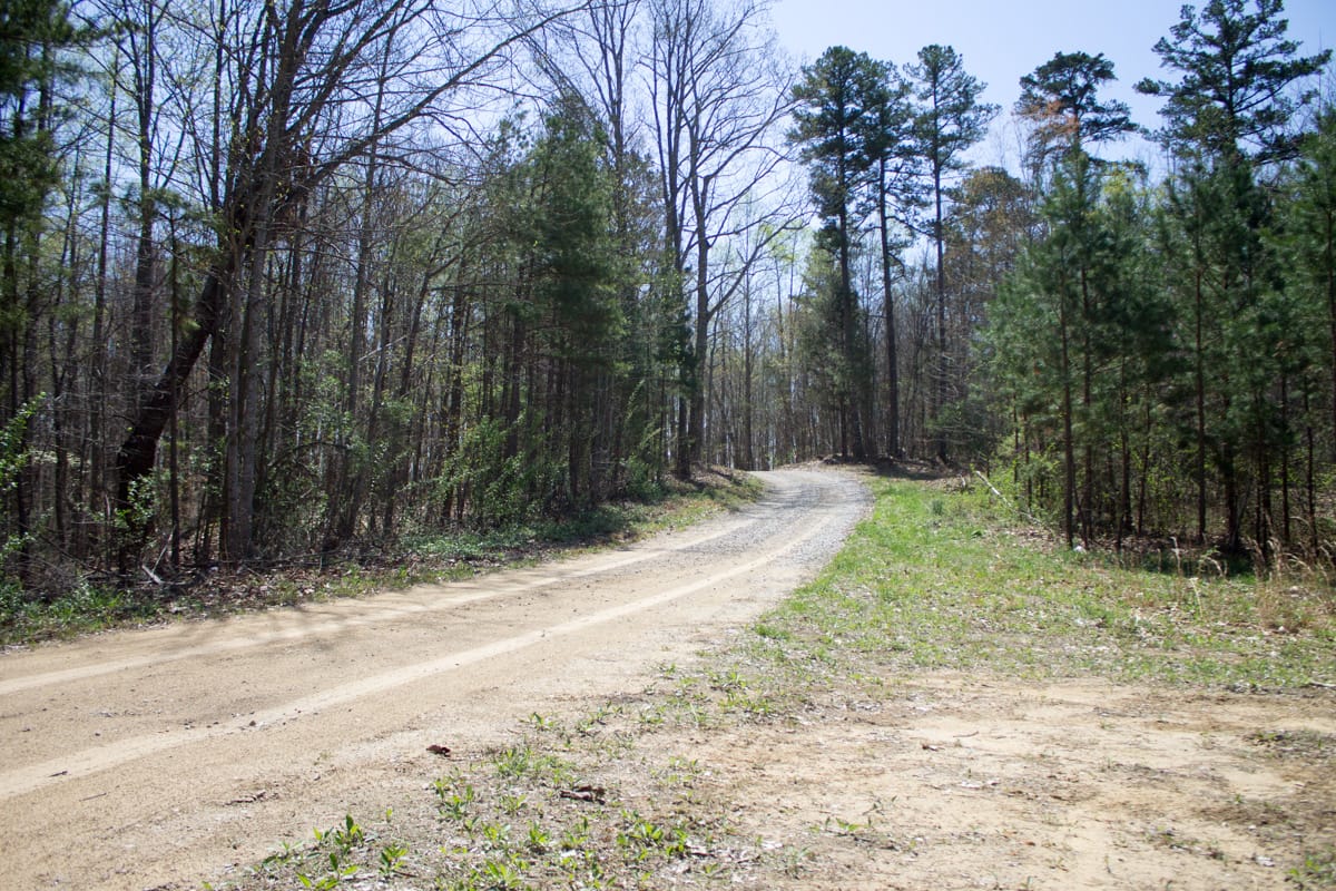 Chestnut Oak Ridge photo 4