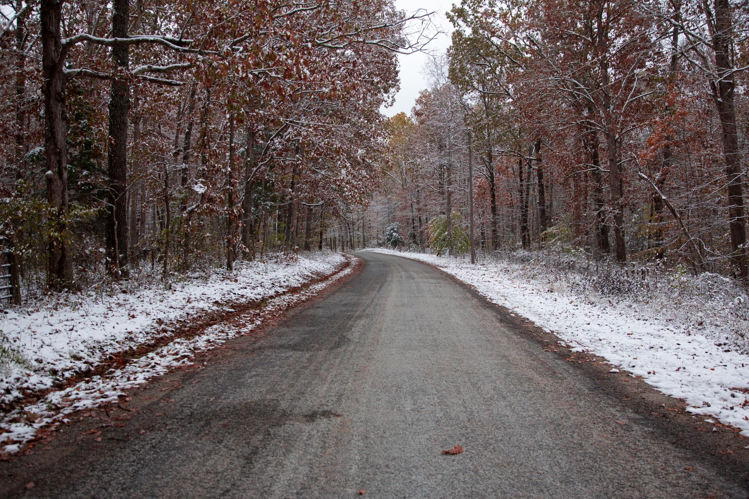 Sweet Water Ranch photo 14