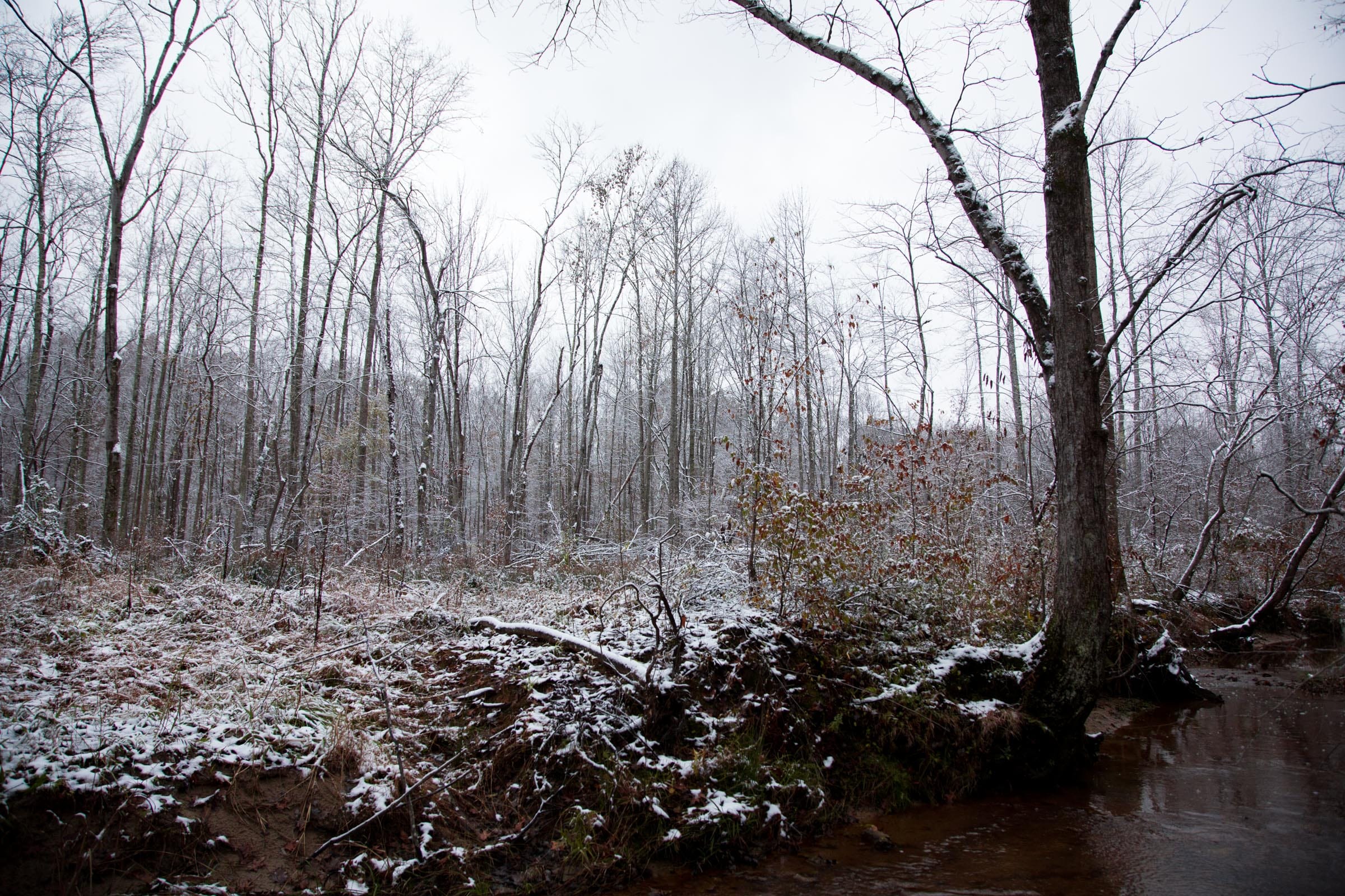Sweet Water Ranch photo 5