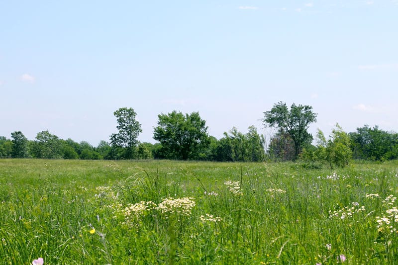 Red River Ranch photo 3