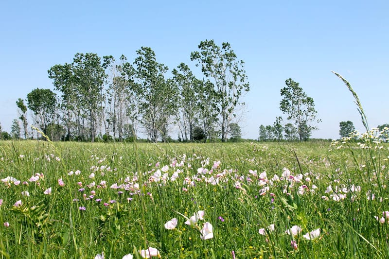 Red River Ranch photo 6
