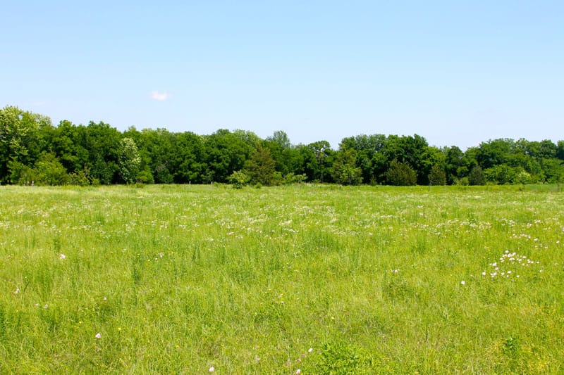 Red River Ranch photo 12
