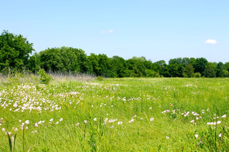 Red River Ranch photo 10