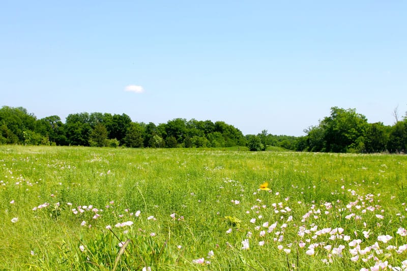 Red River Ranch photo 11