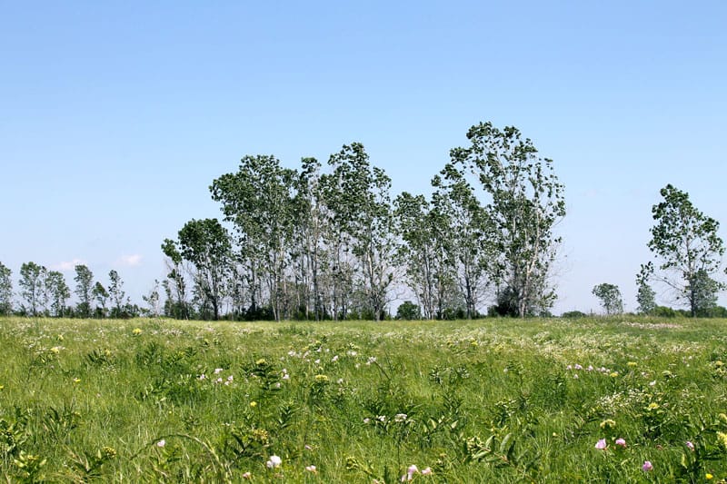 Red River Ranch photo 2
