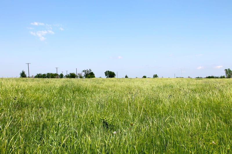 Red River Ranch photo 9