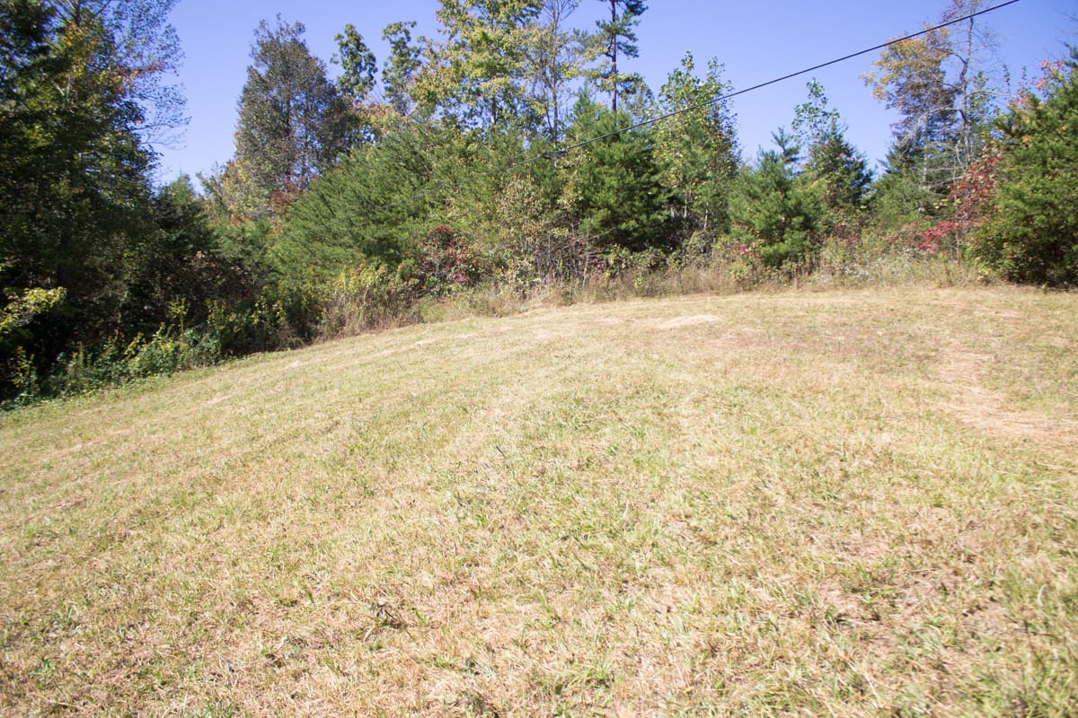 Upper Line Creek photo 5