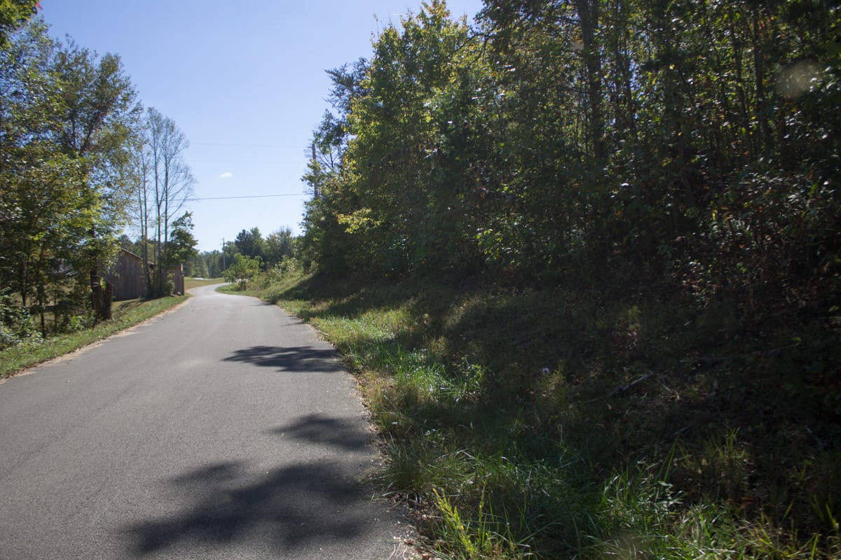 Upper Line Creek photo 9