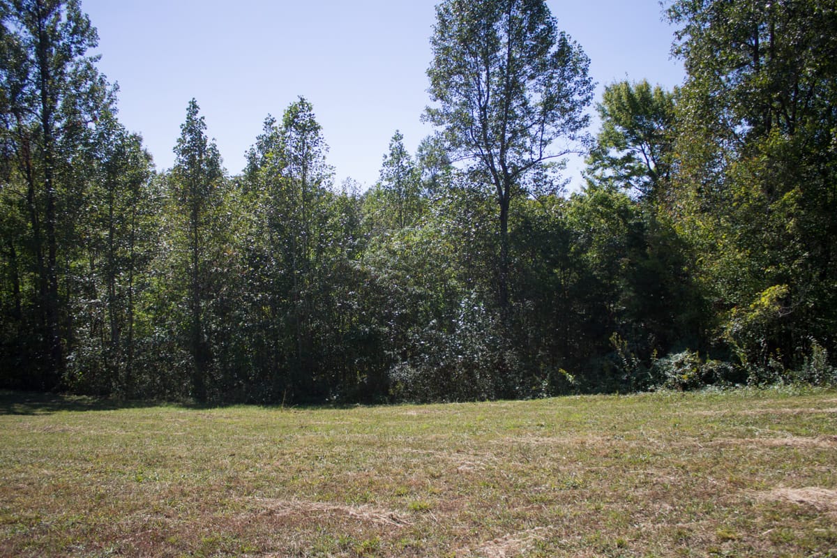 Upper Line Creek photo 6