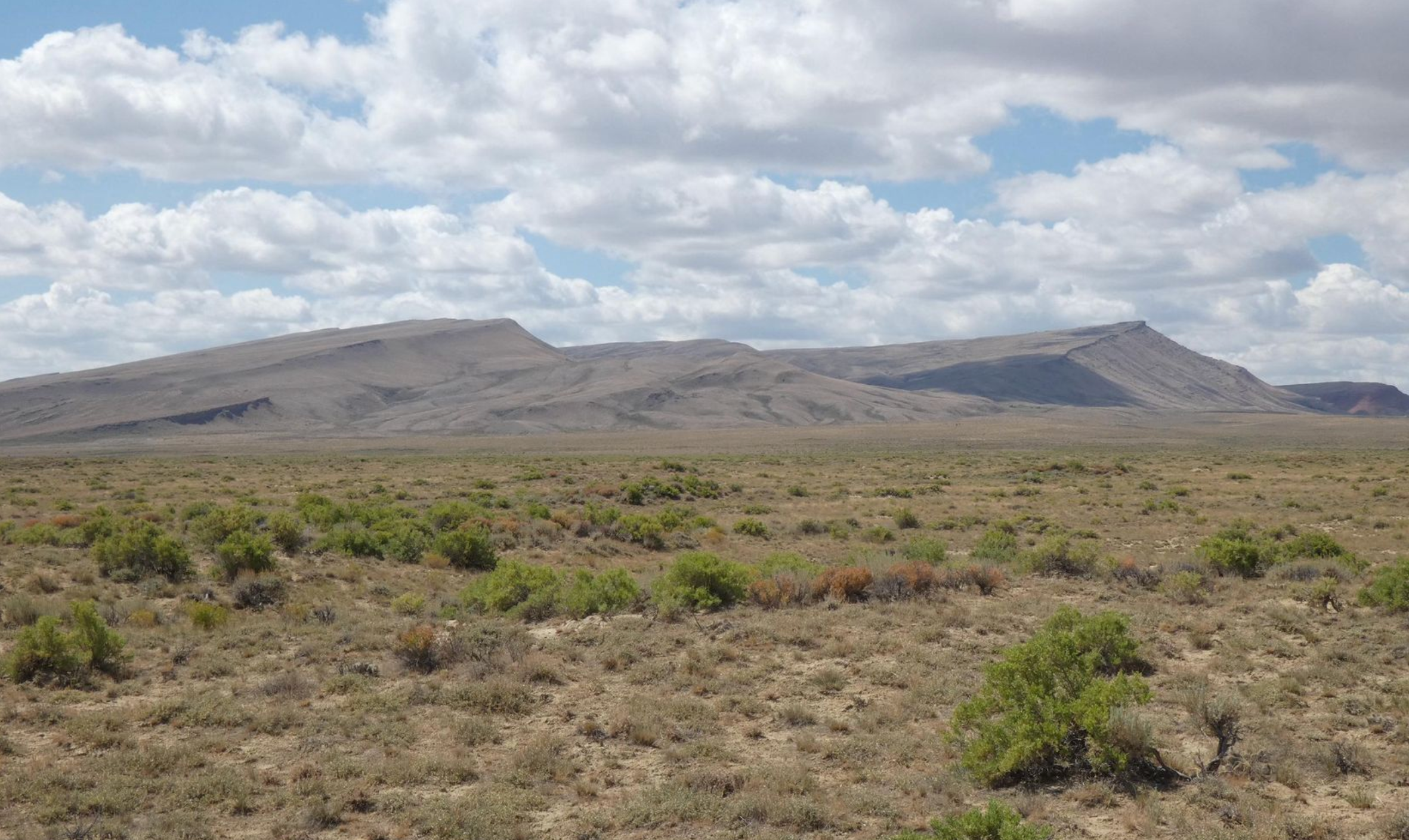 Saddle Ridge Ranches photo 1