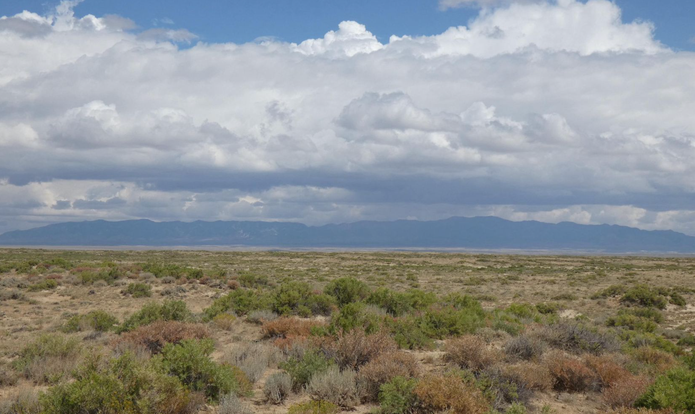Saddle Ridge Ranches photo 4