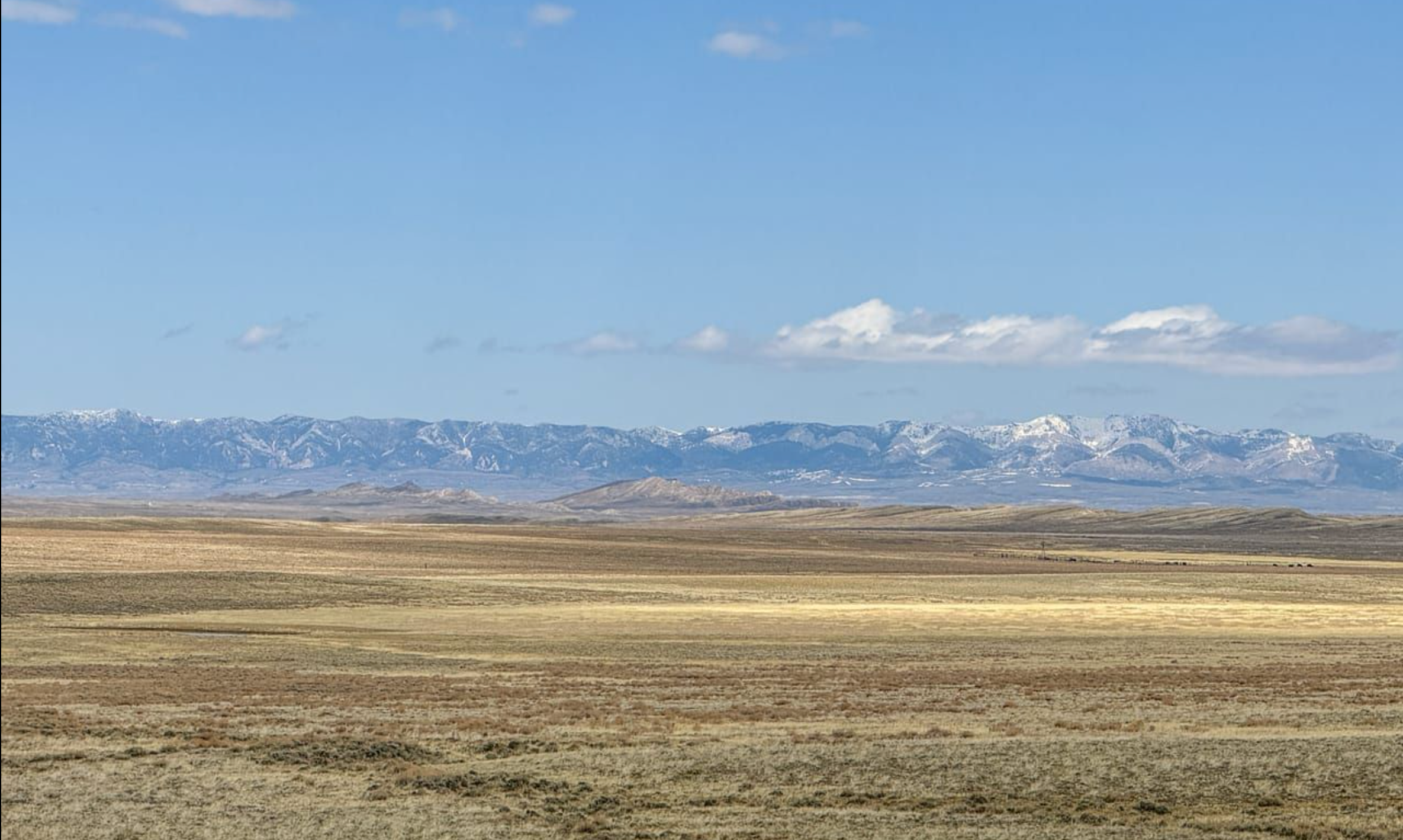 Saddle Ridge Ranches photo 6