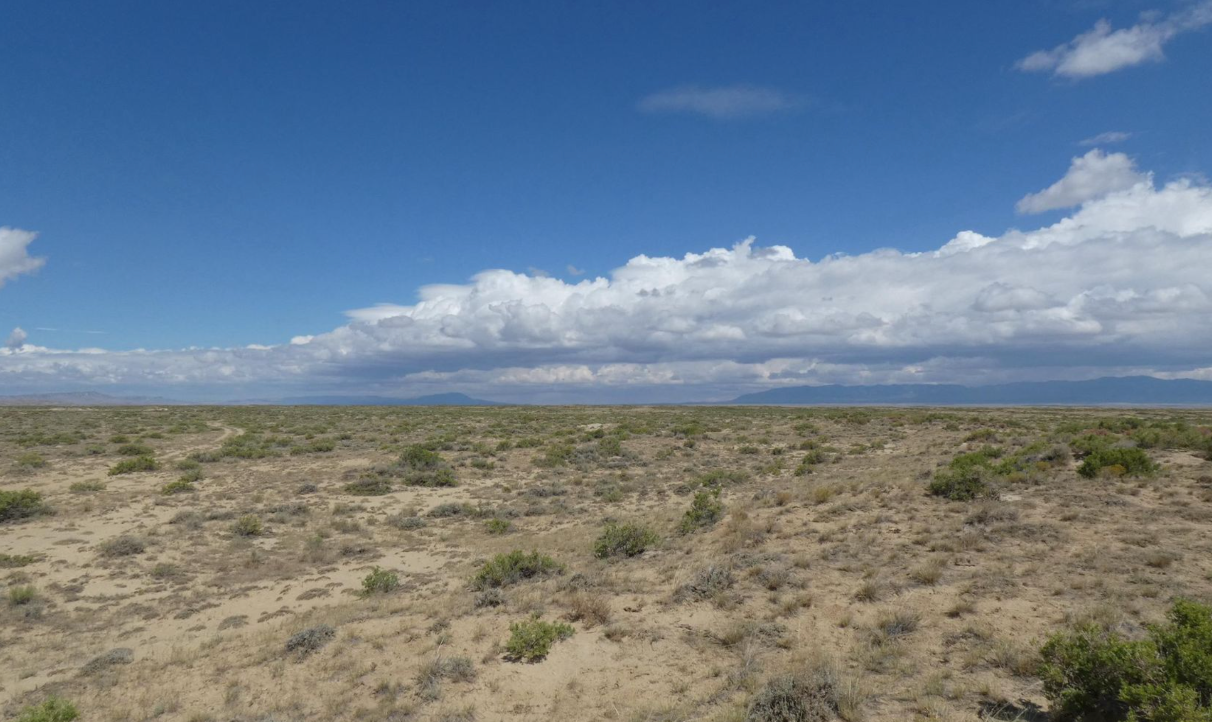 Saddle Ridge Ranches photo 2