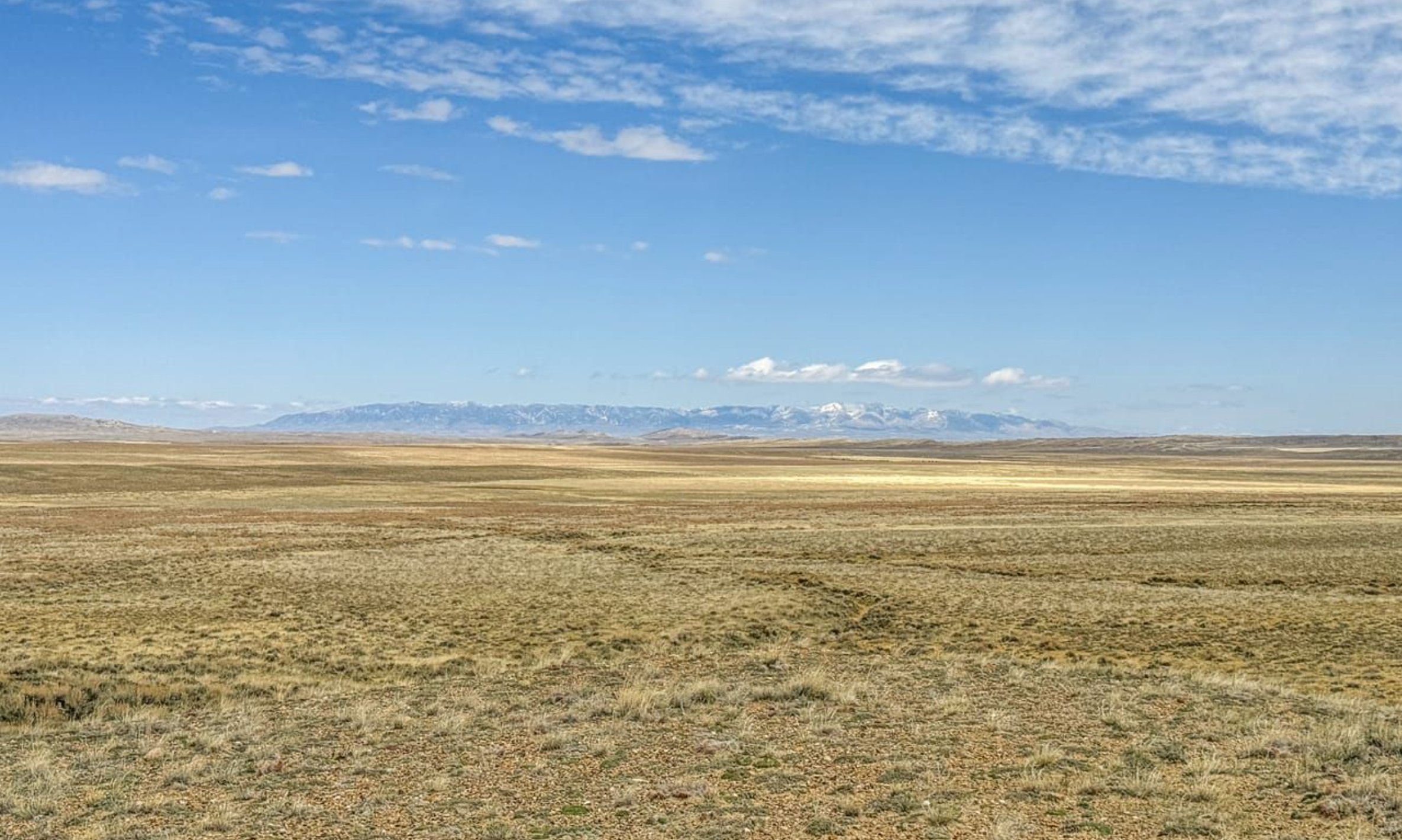 Saddle Ridge Ranches photo 7