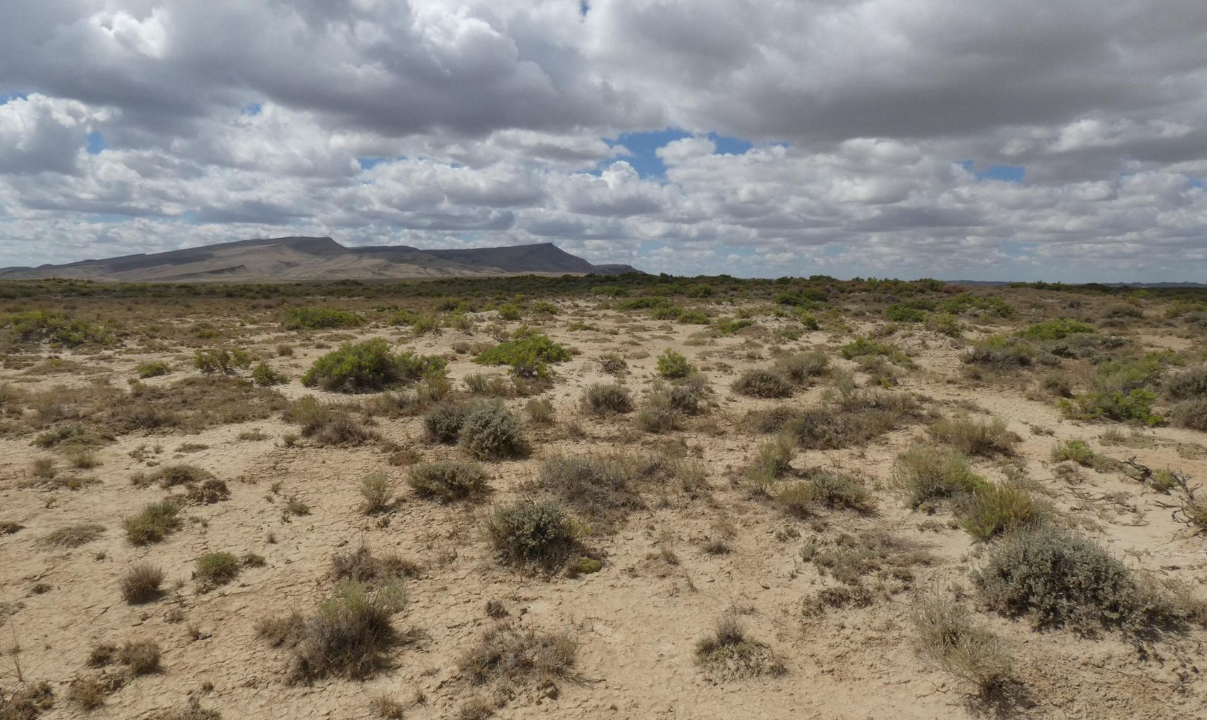 Saddle Ridge Ranches photo 3