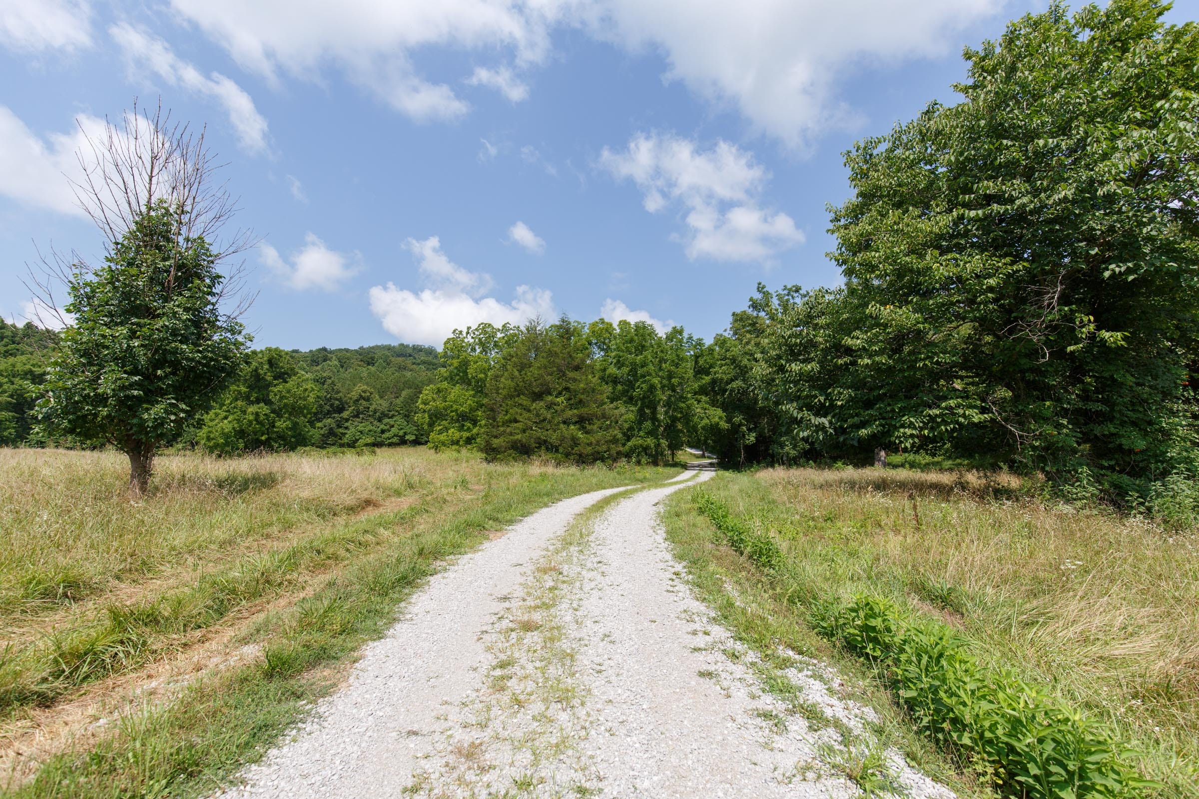 Rolling Hills photo 14