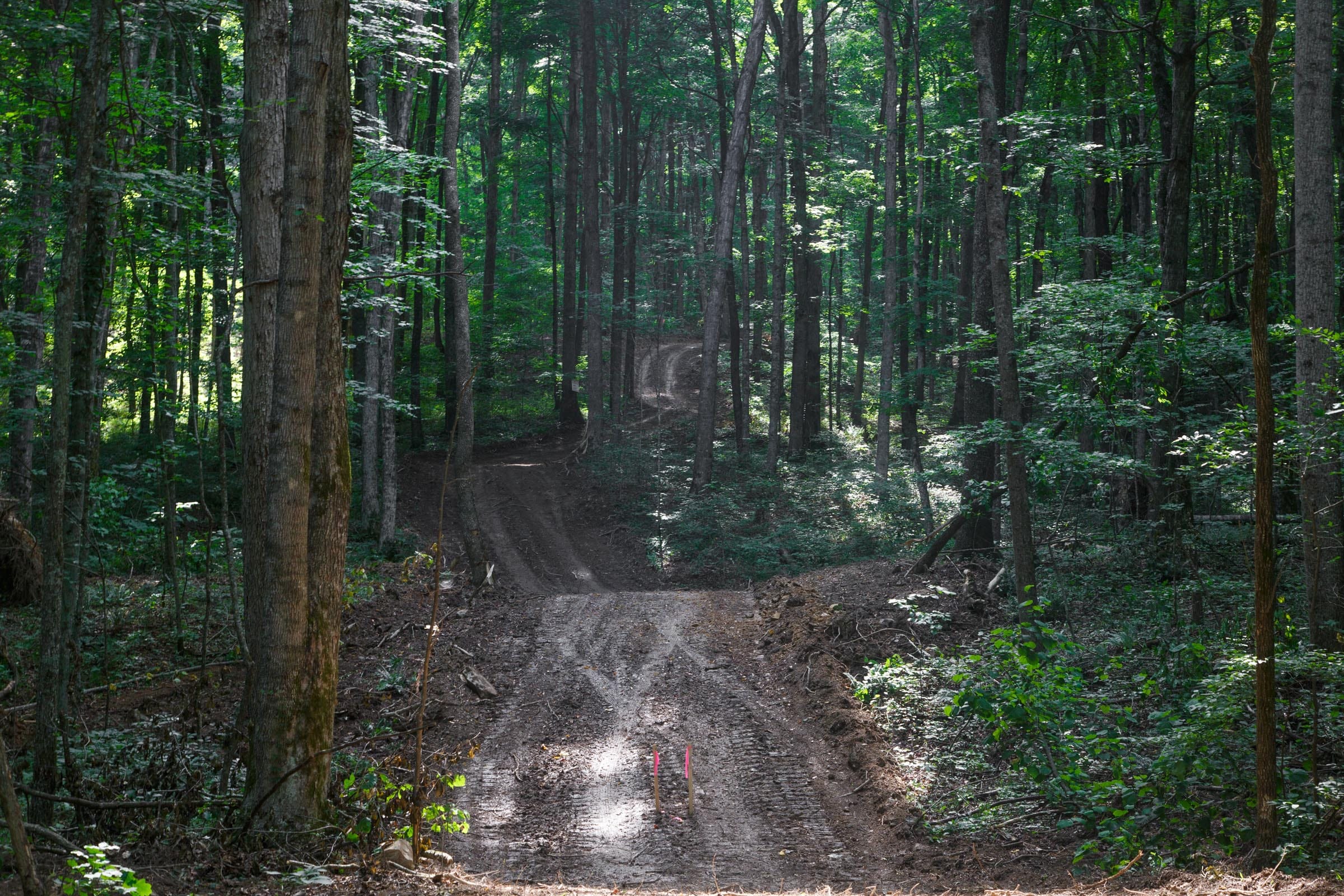 Rolling Hills photo 12