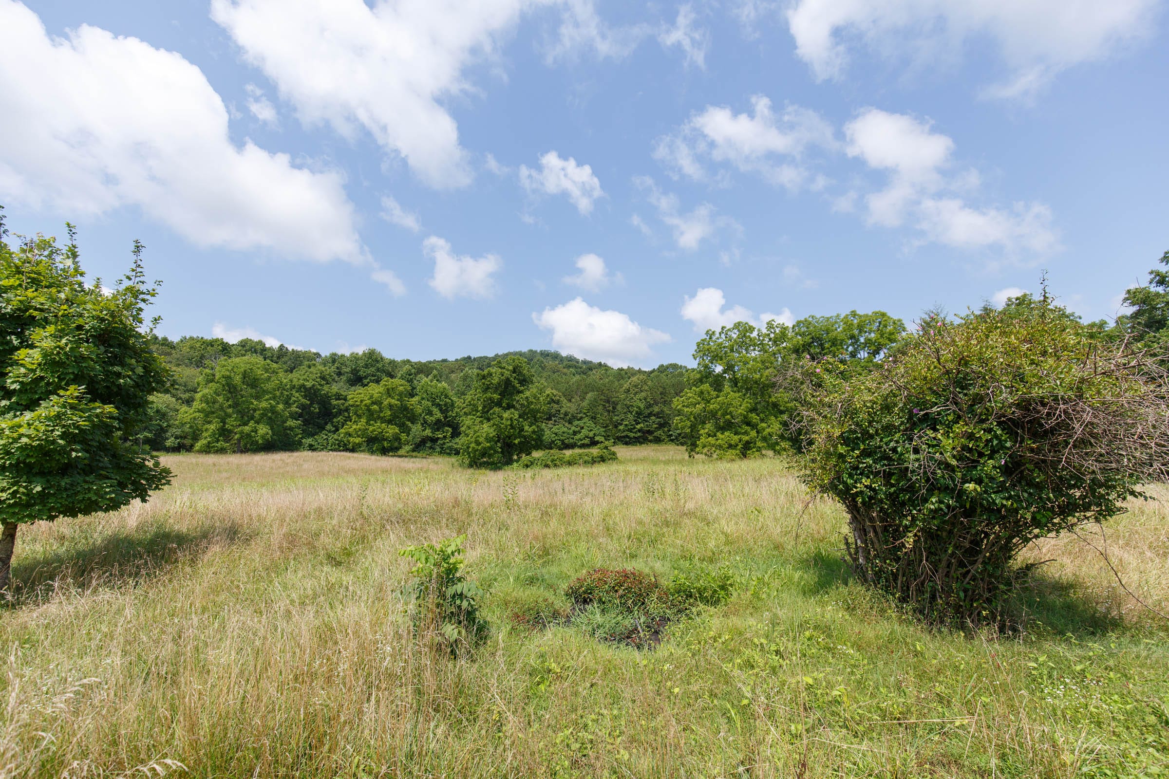 Rolling Hills photo 13