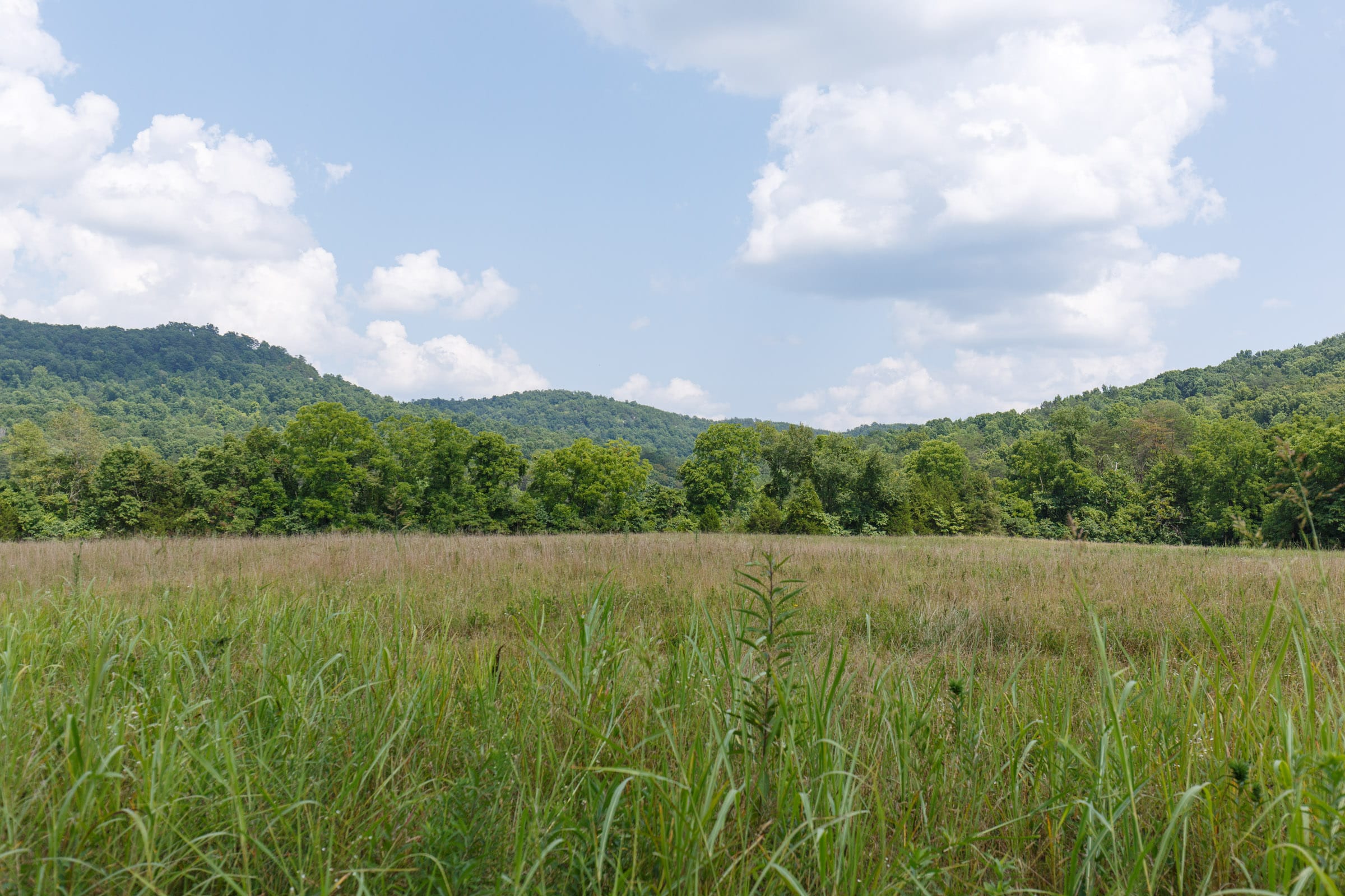 Rolling Hills photo 19