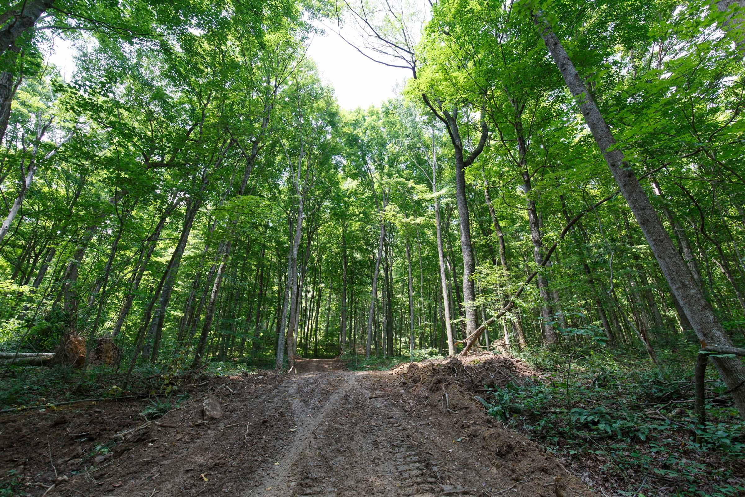 Rolling Hills photo 15