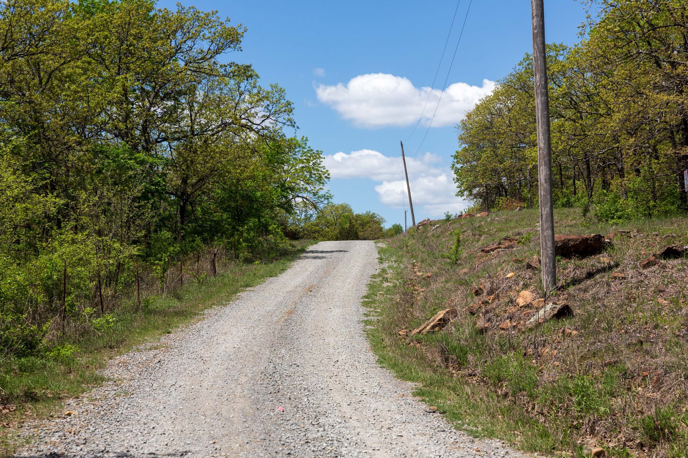 Allie’s Acres photo 8