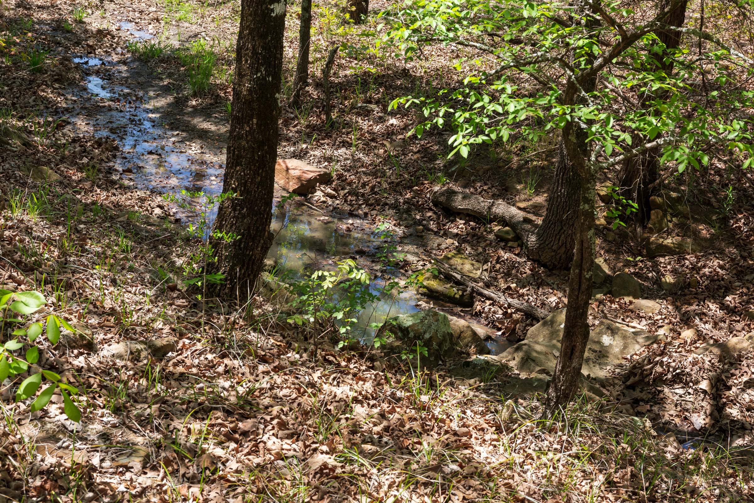 Allie’s Acres photo 6