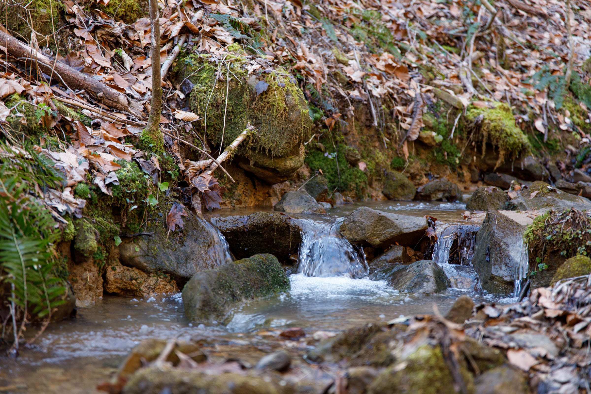Blackstone Mountain Phase I photo 2