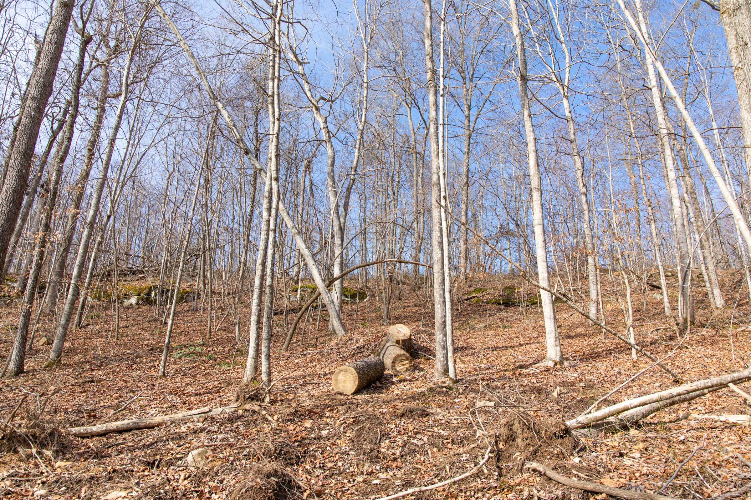 Blackstone Mountain Phase I photo 4