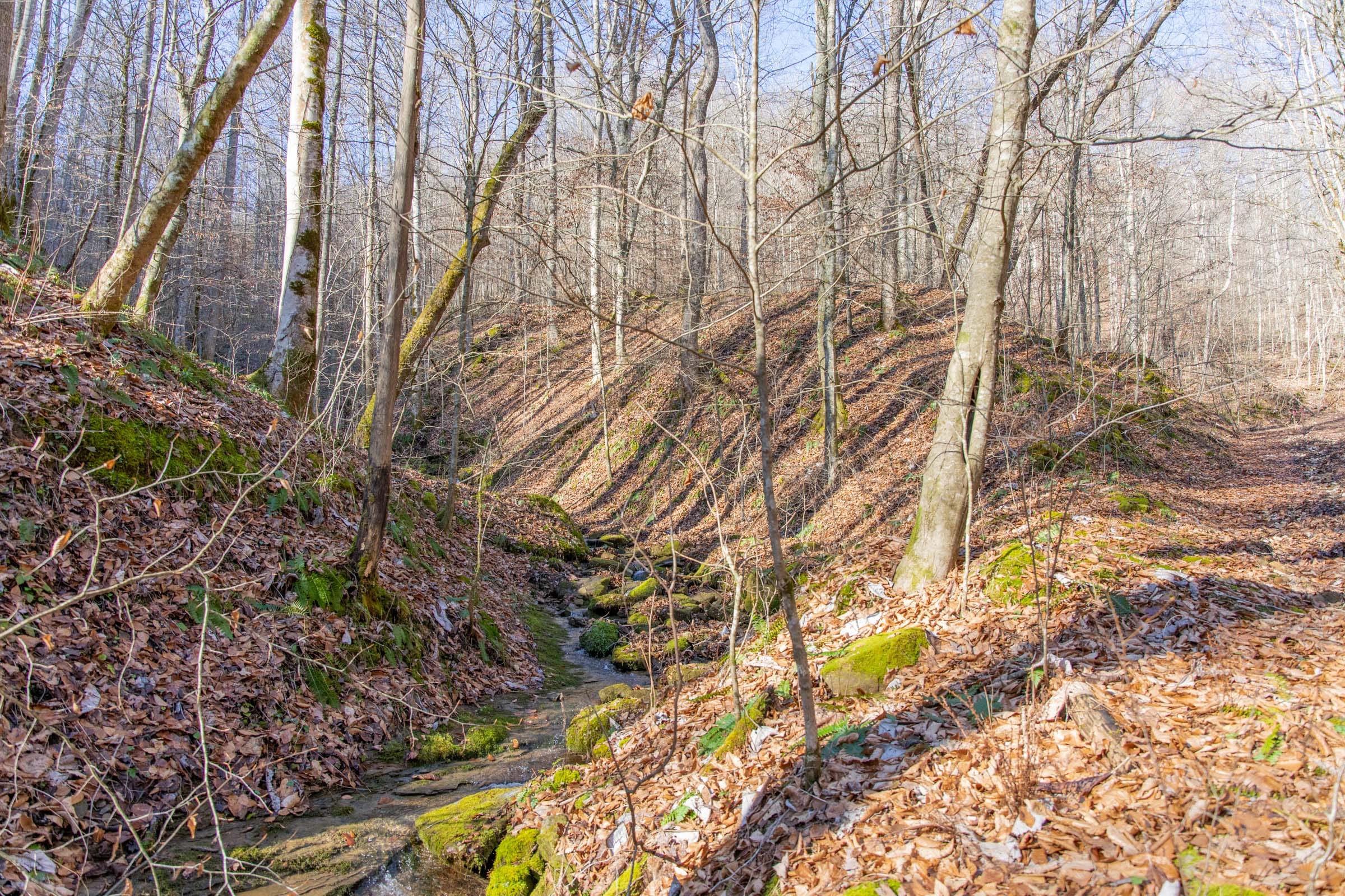Blackstone Mountain Phase I photo 11