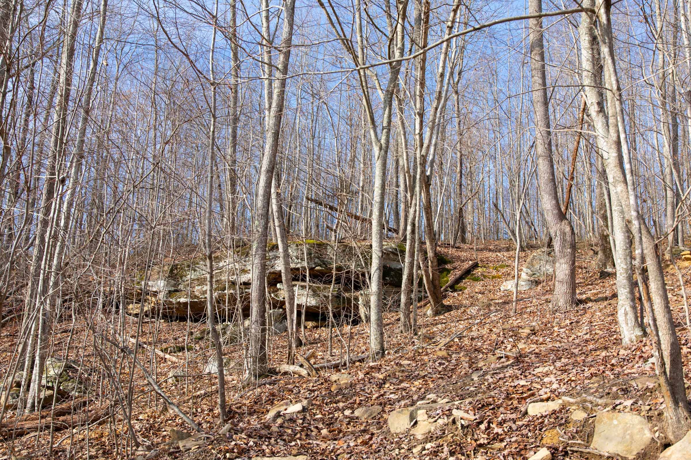 Blackstone Mountain Phase I photo 7