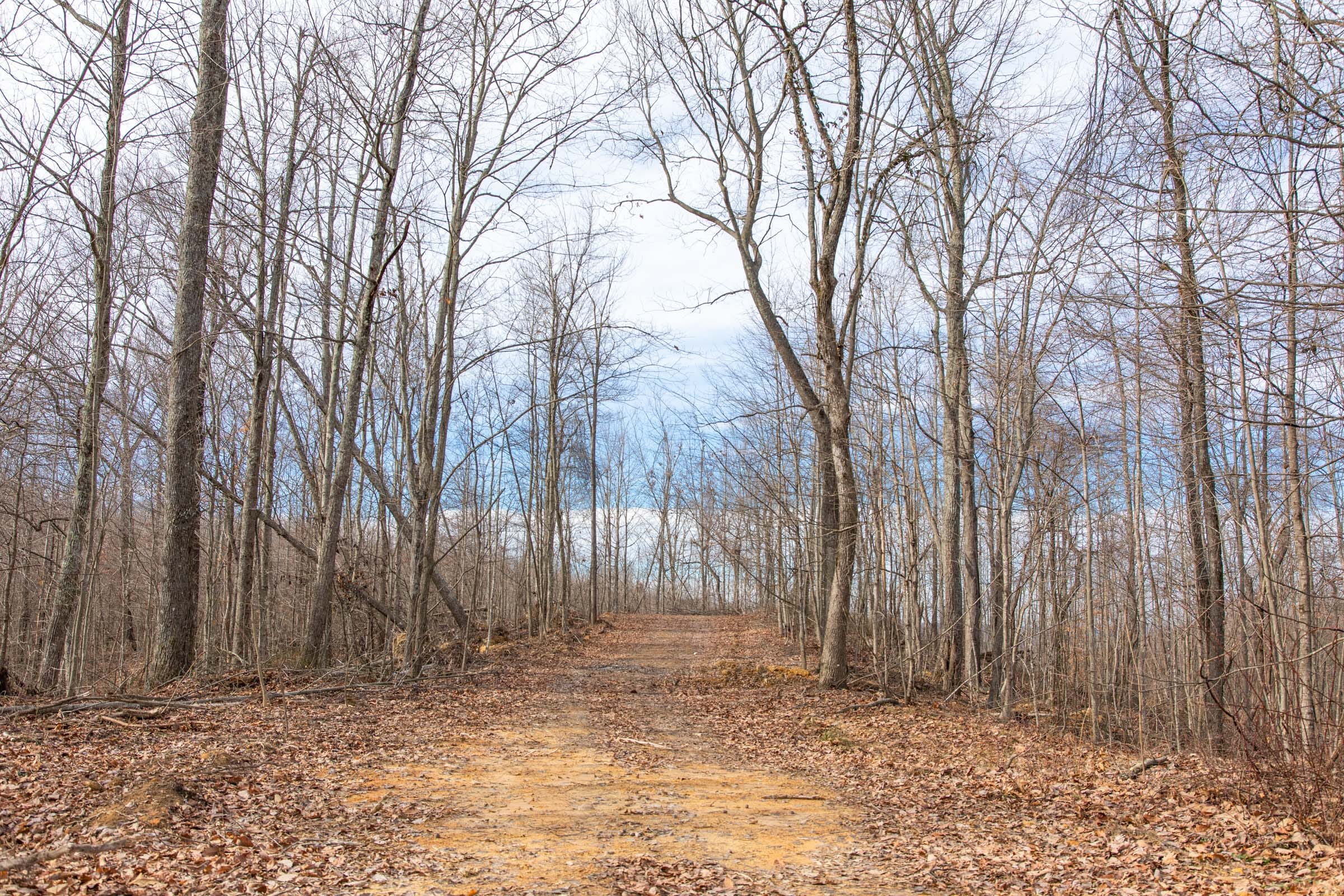 Blackstone Mountain Phase I photo 6