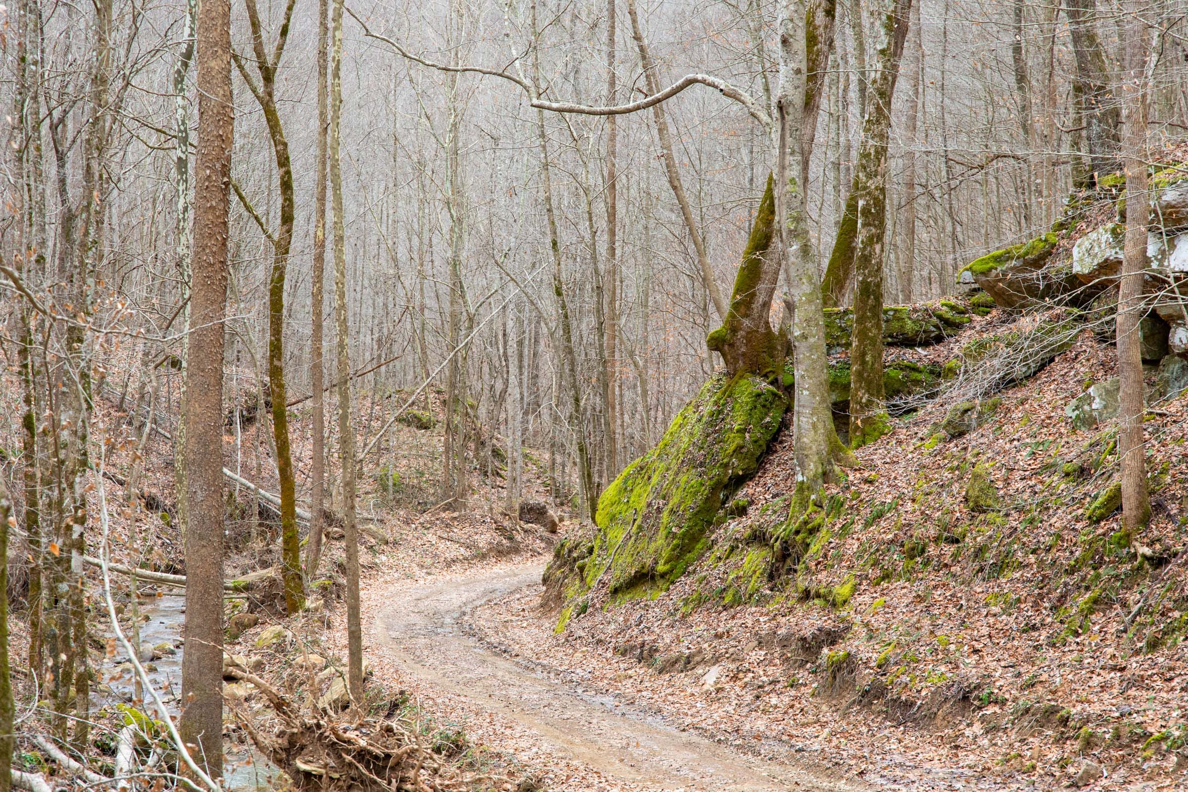 Blackstone Mountain Phase I photo 13
