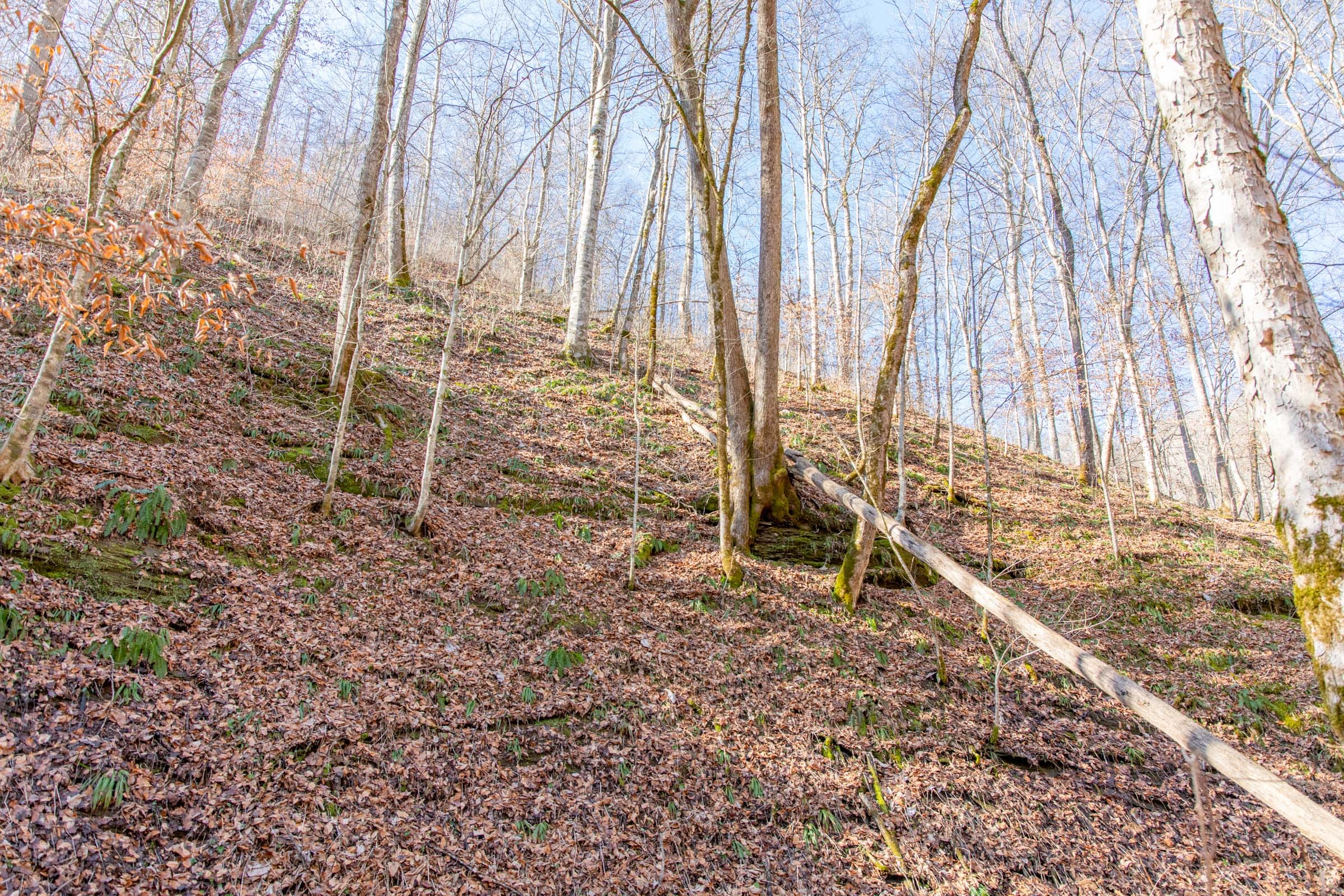 Blackstone Mountain Phase I photo 10