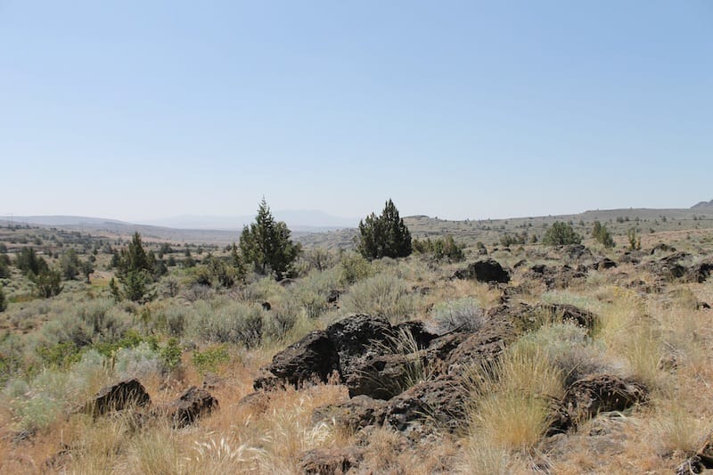 Moon Valley Ranch photo 2