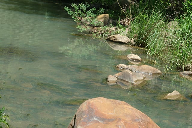 Pushmataha photo 16