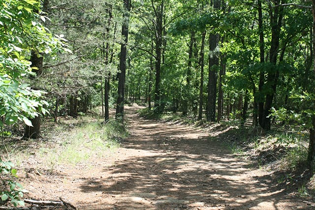 Pushmataha photo 14