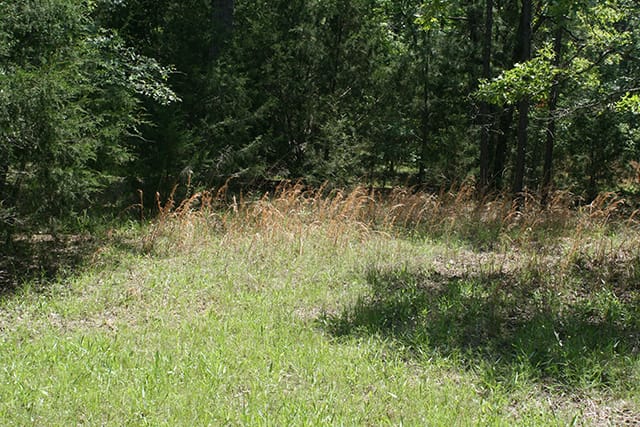 Pushmataha photo 11