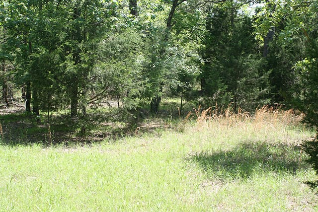 Pushmataha photo 13