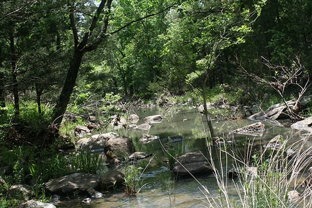 Pushmataha photo 2