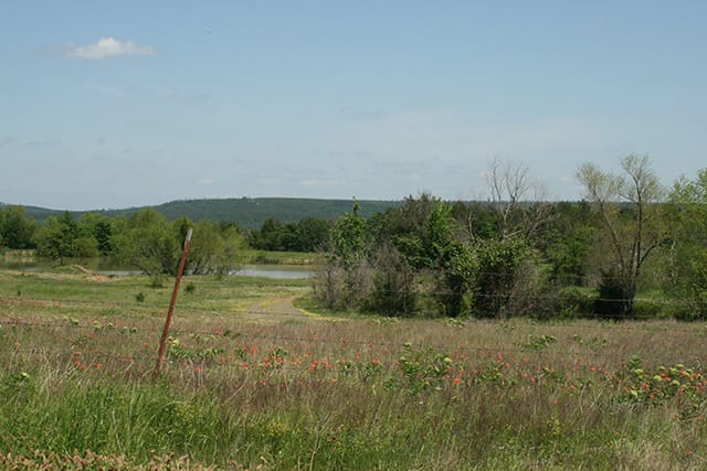 Pushmataha photo 21