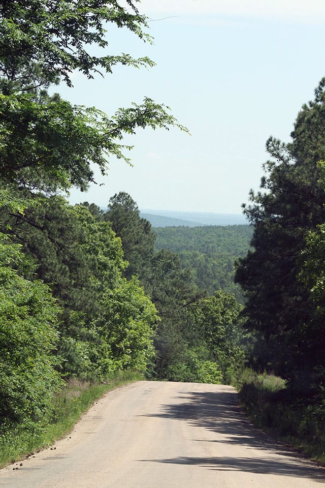 Pushmataha photo 19