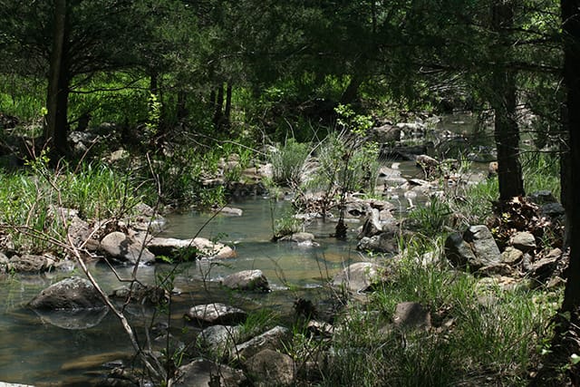 Pushmataha photo 1