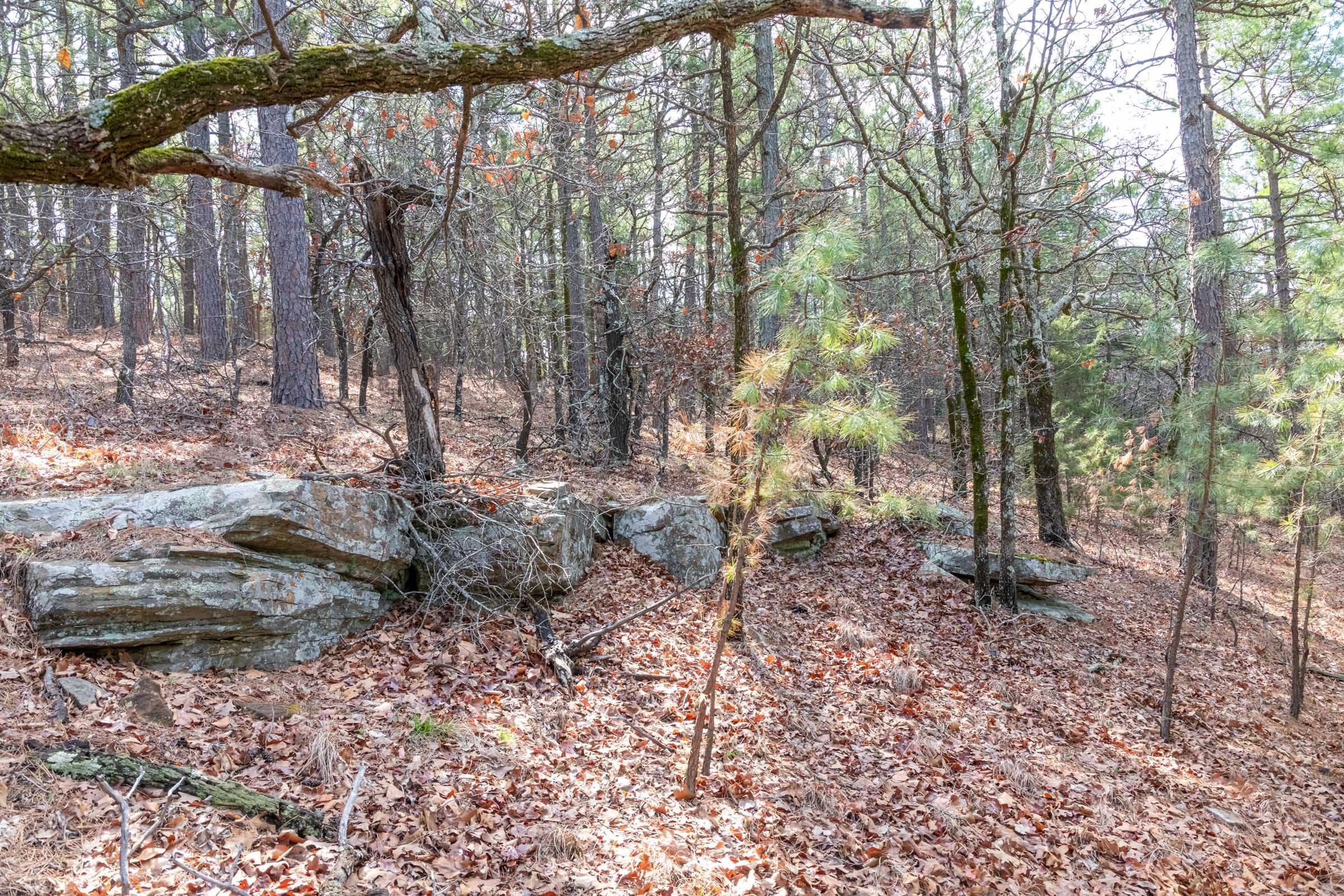 Stone Bridge Phase III photo 12