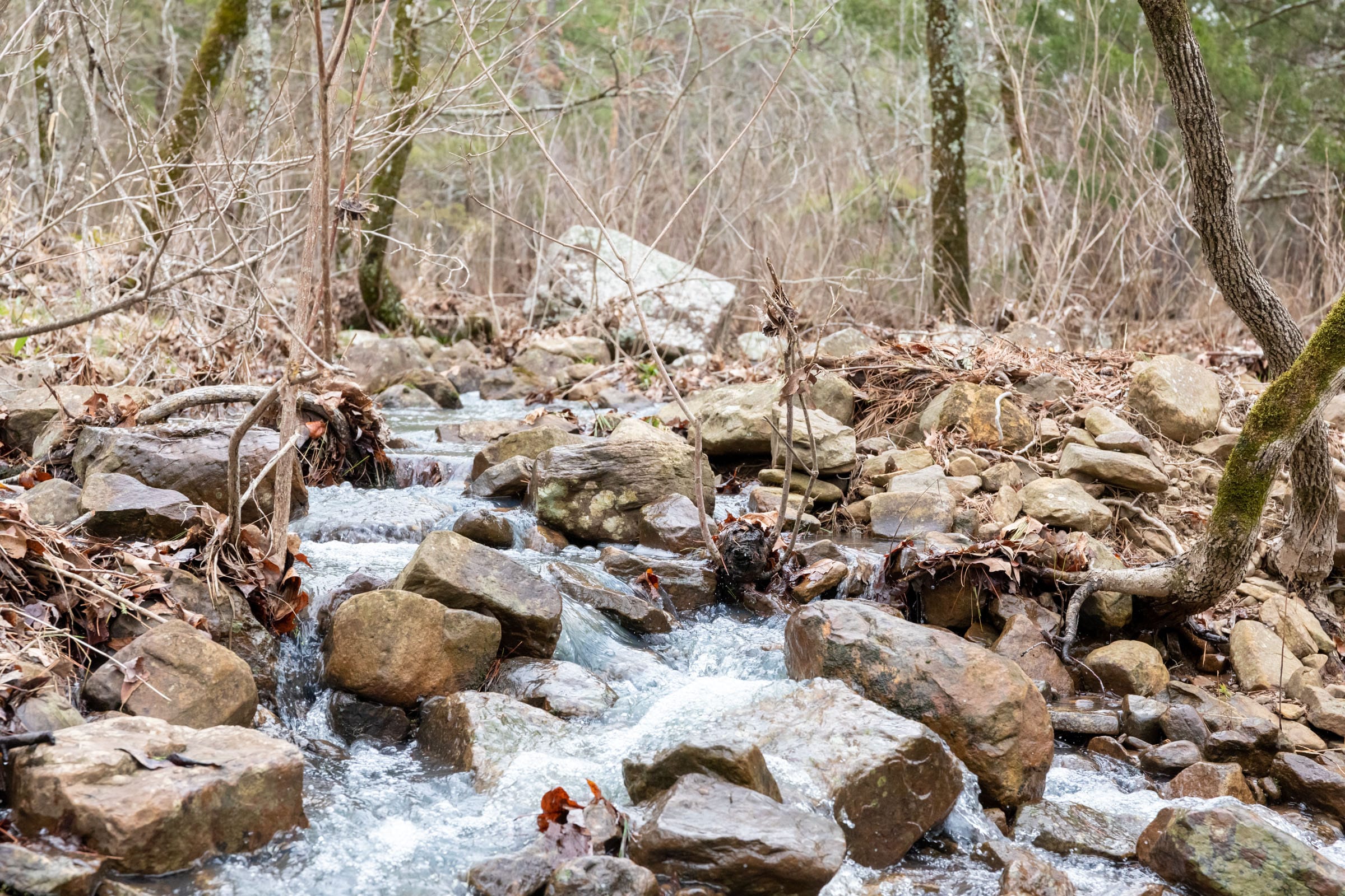 Stone Bridge Phase III photo 18