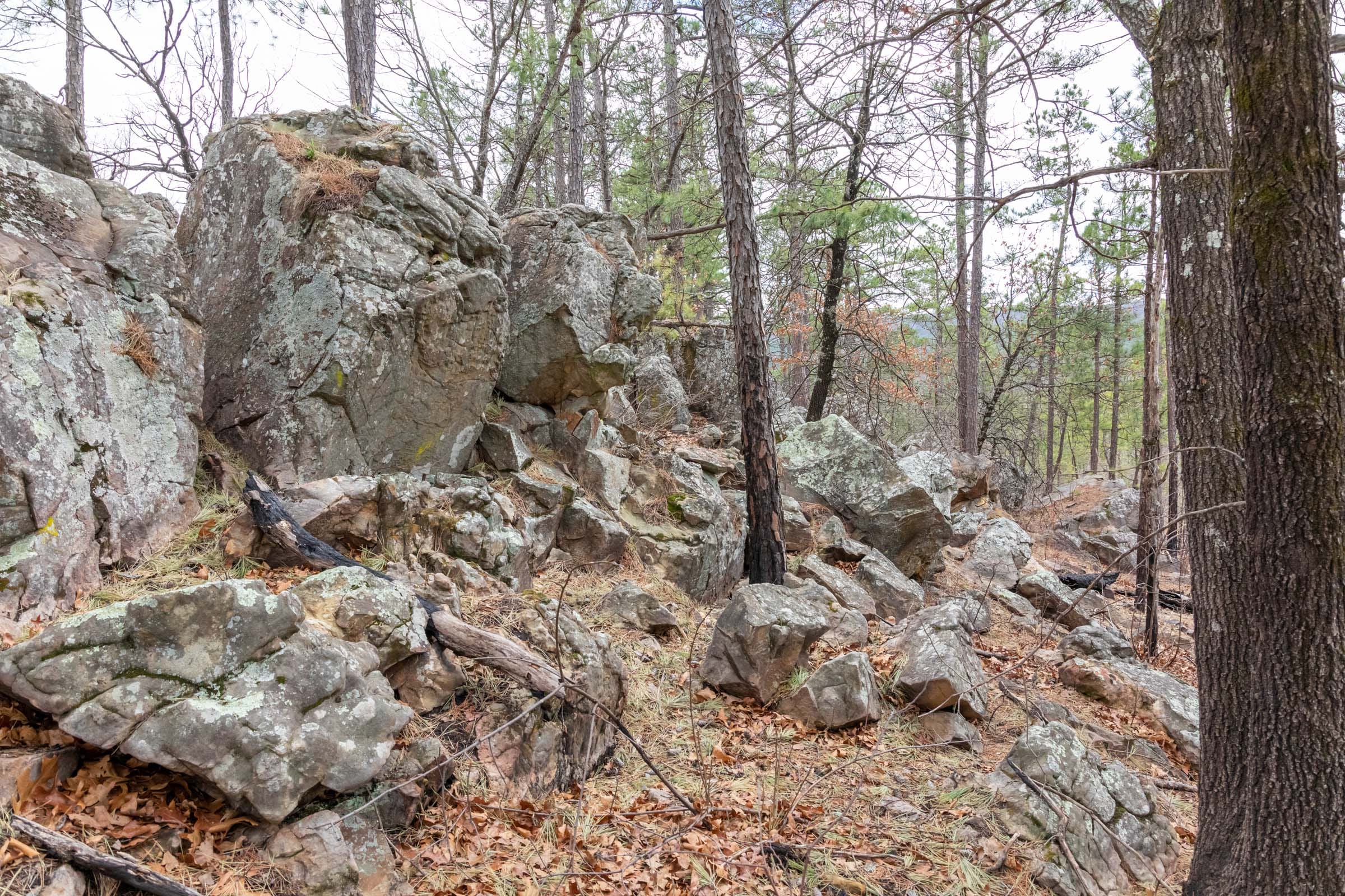 Stone Bridge Phase III photo 19