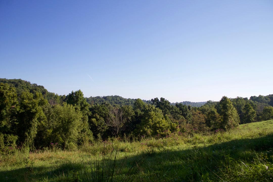 Heritage Hollow photo 11